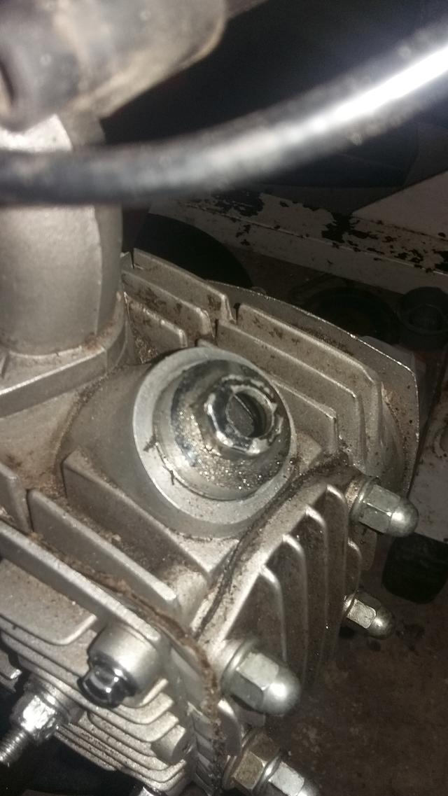 Picture for question