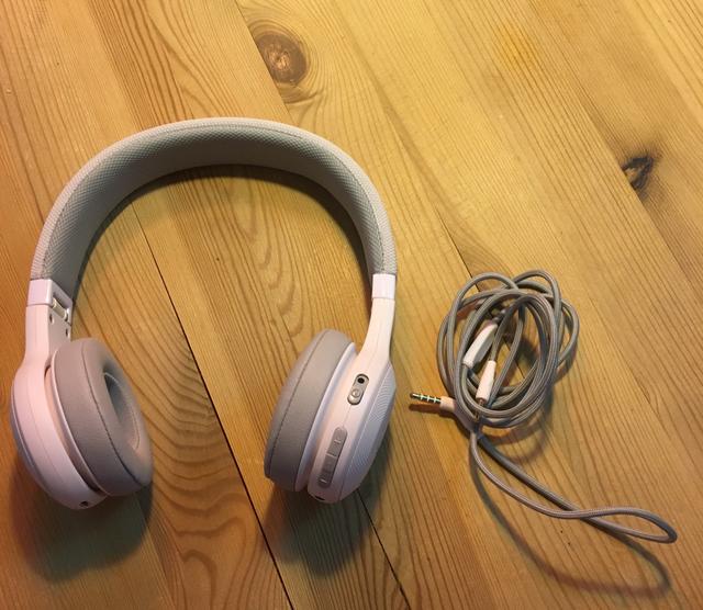 Picture for question