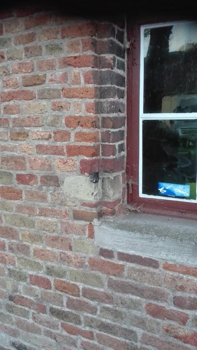 Picture for question