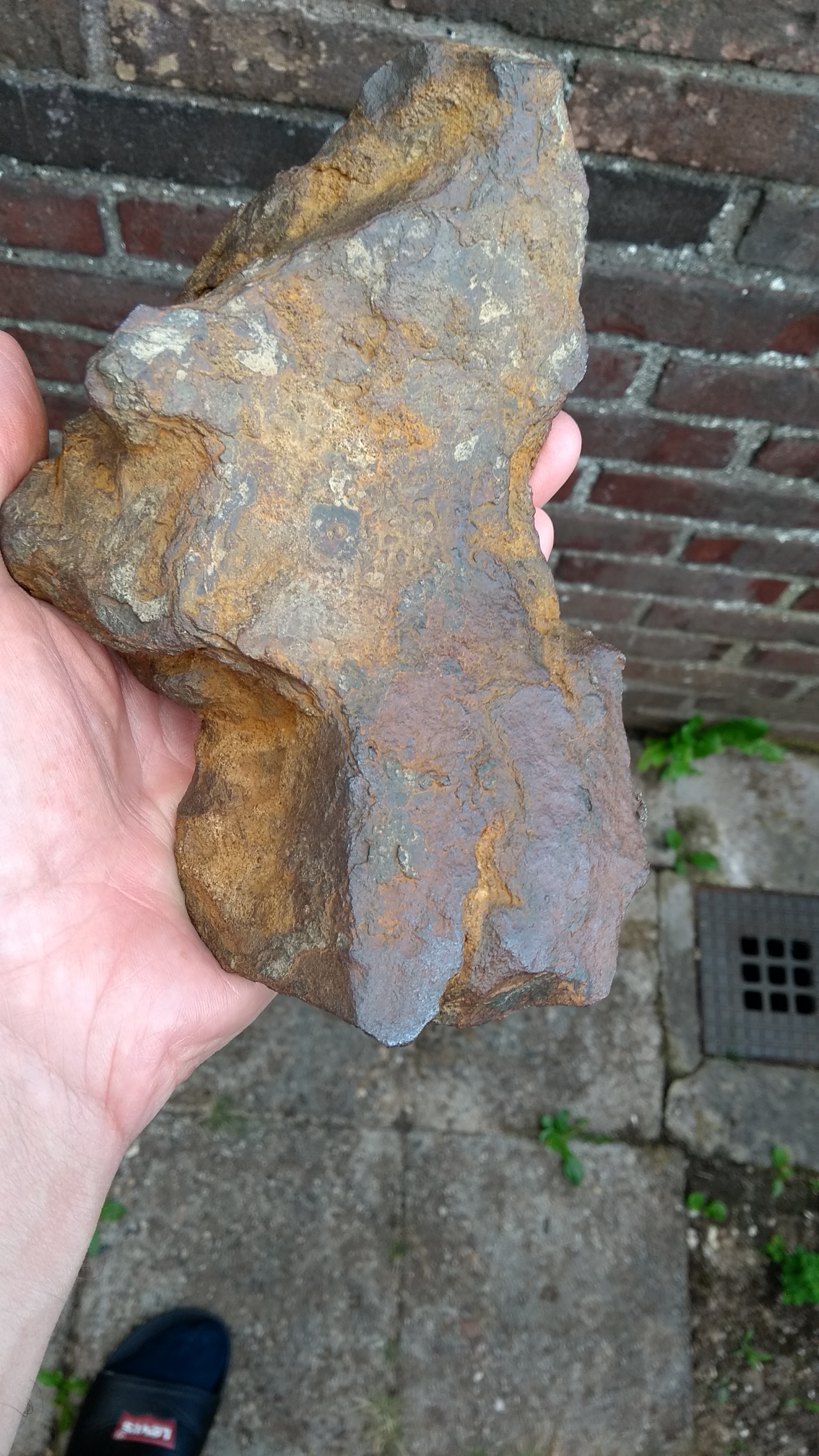 Picture for question