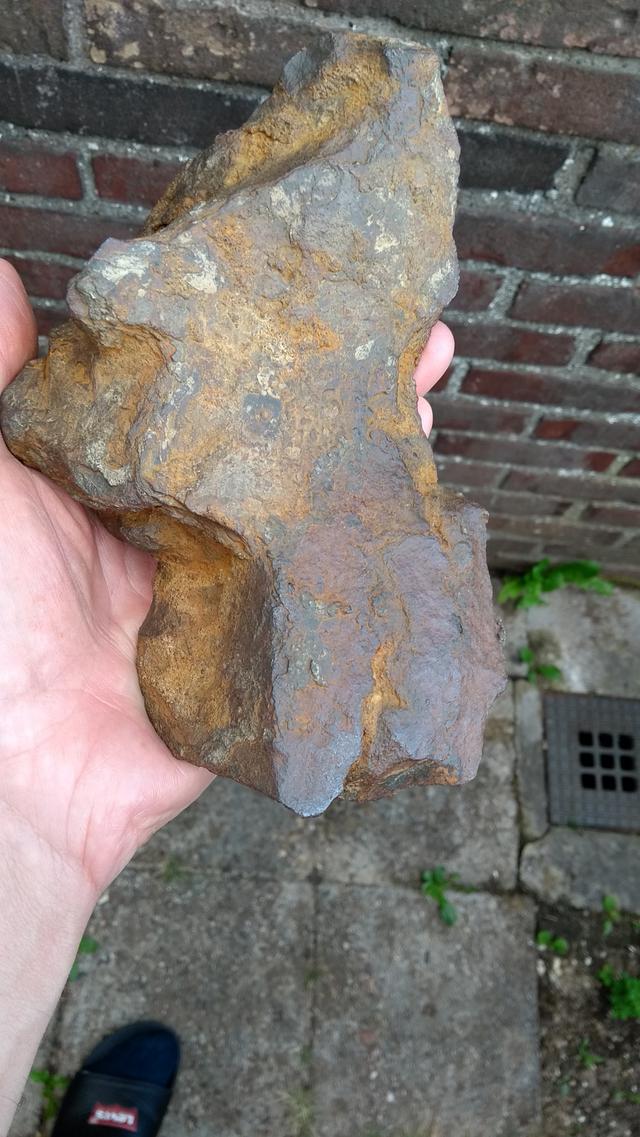 Picture for question