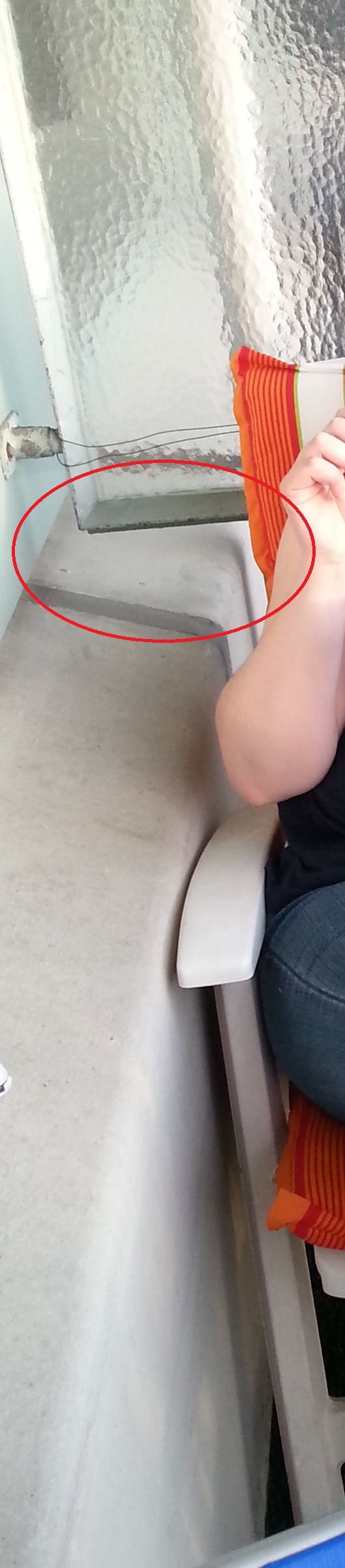 Picture for question