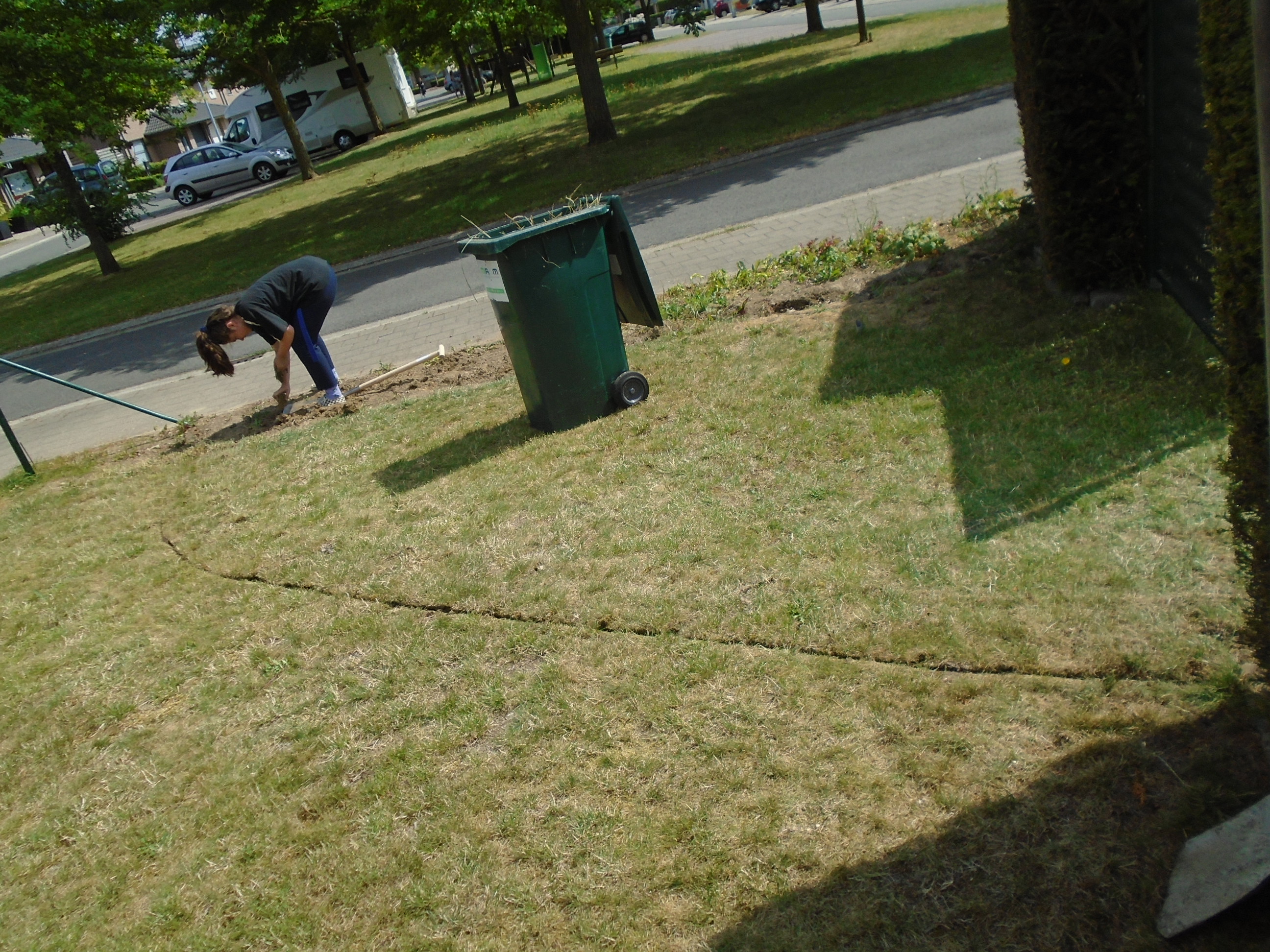 Picture for question