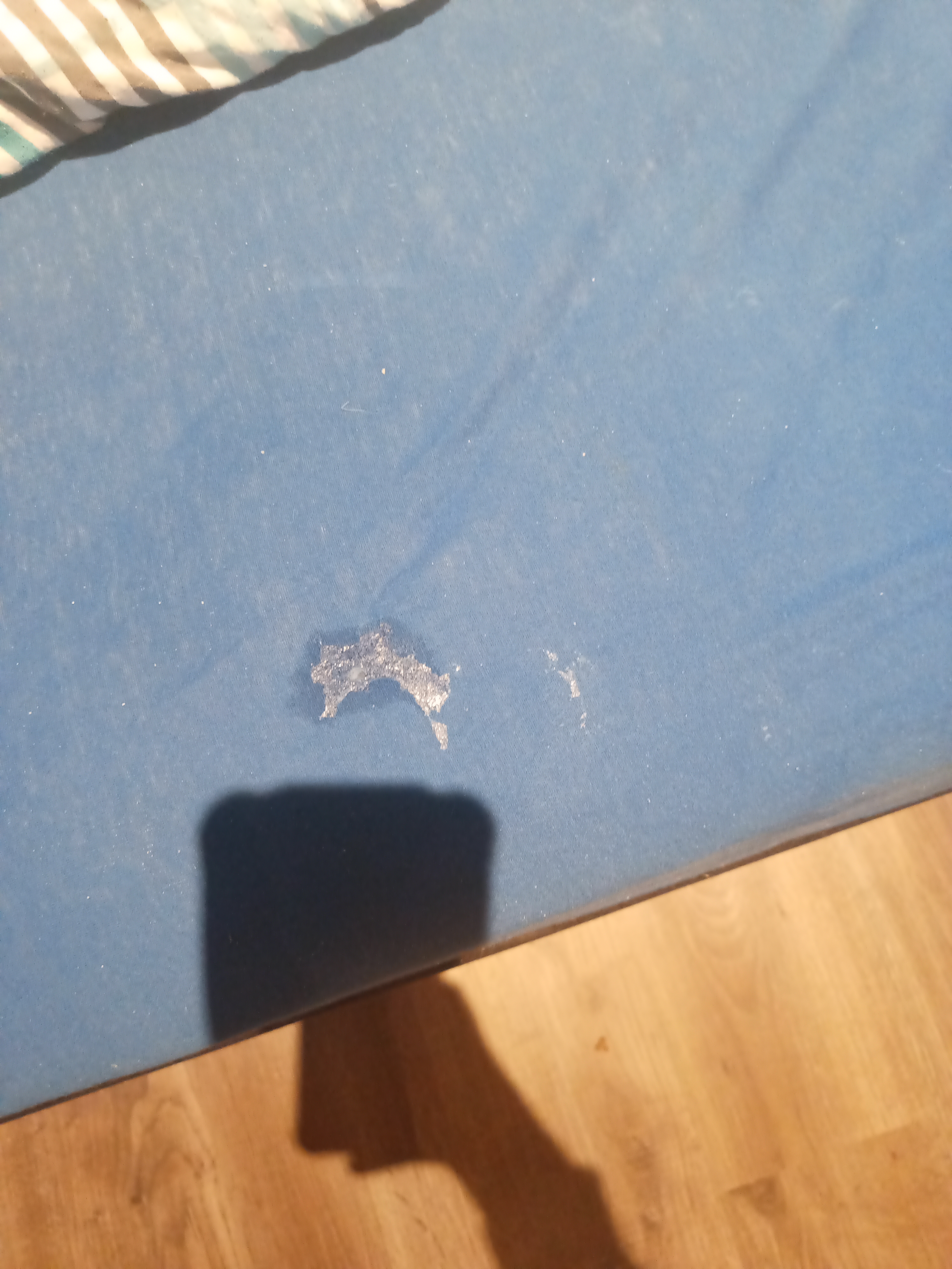 Picture for question