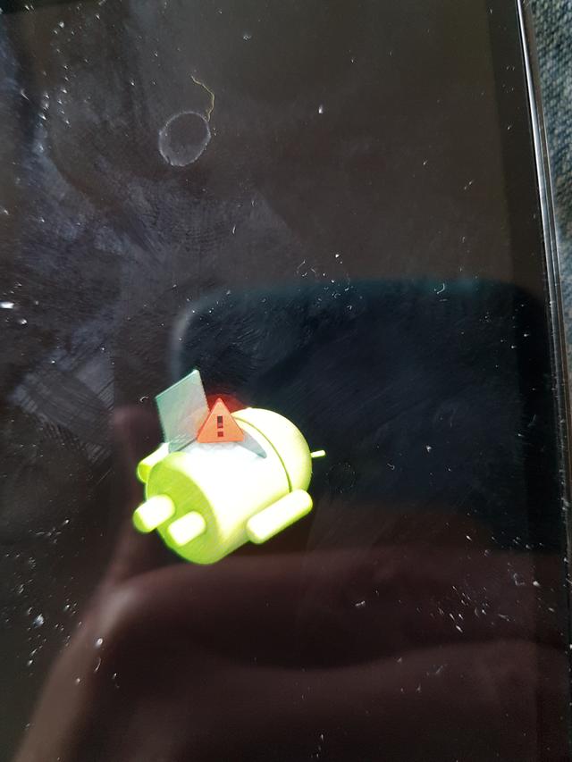 Picture for question