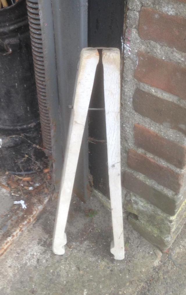 Picture for question