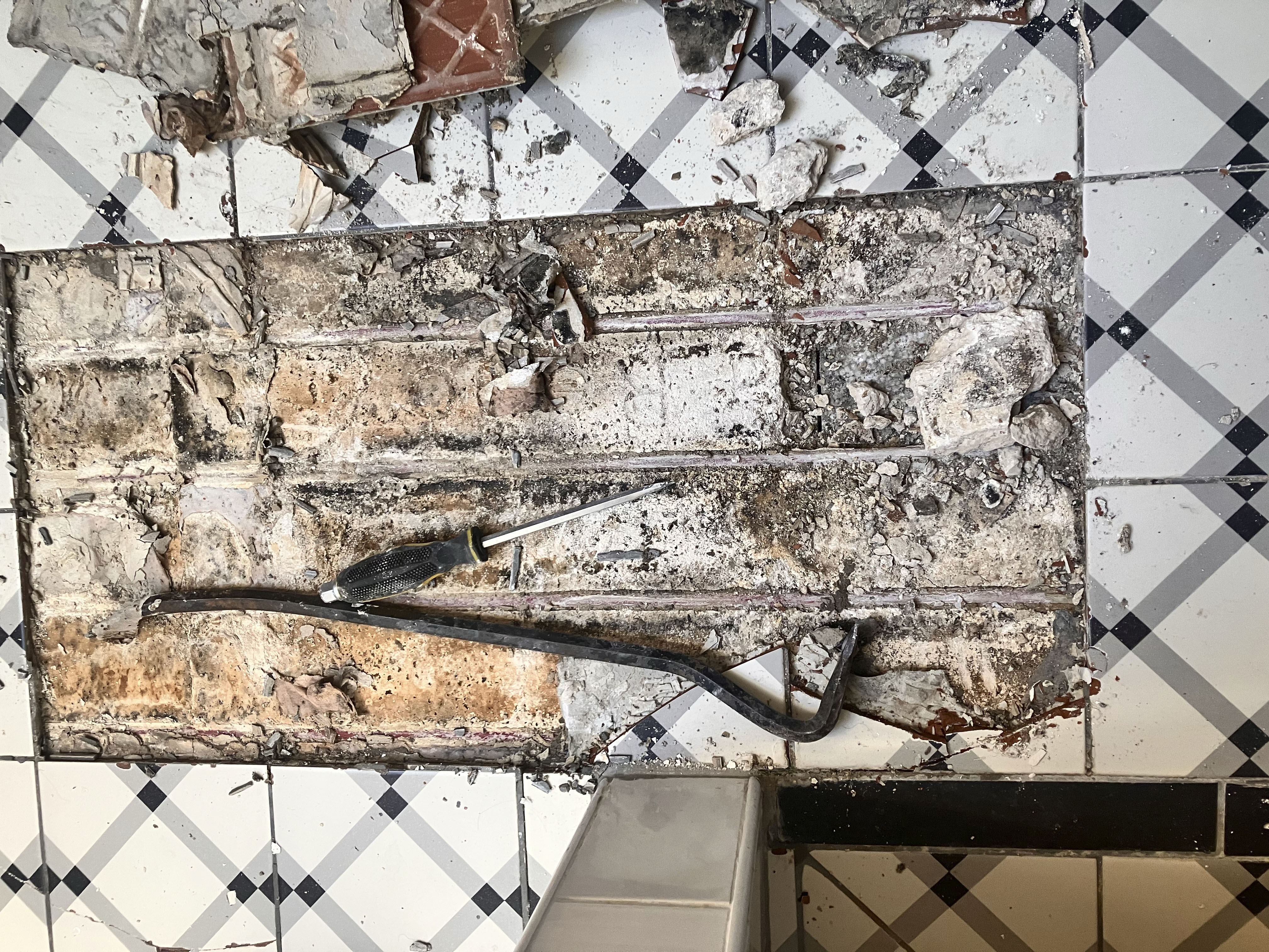 Picture for question