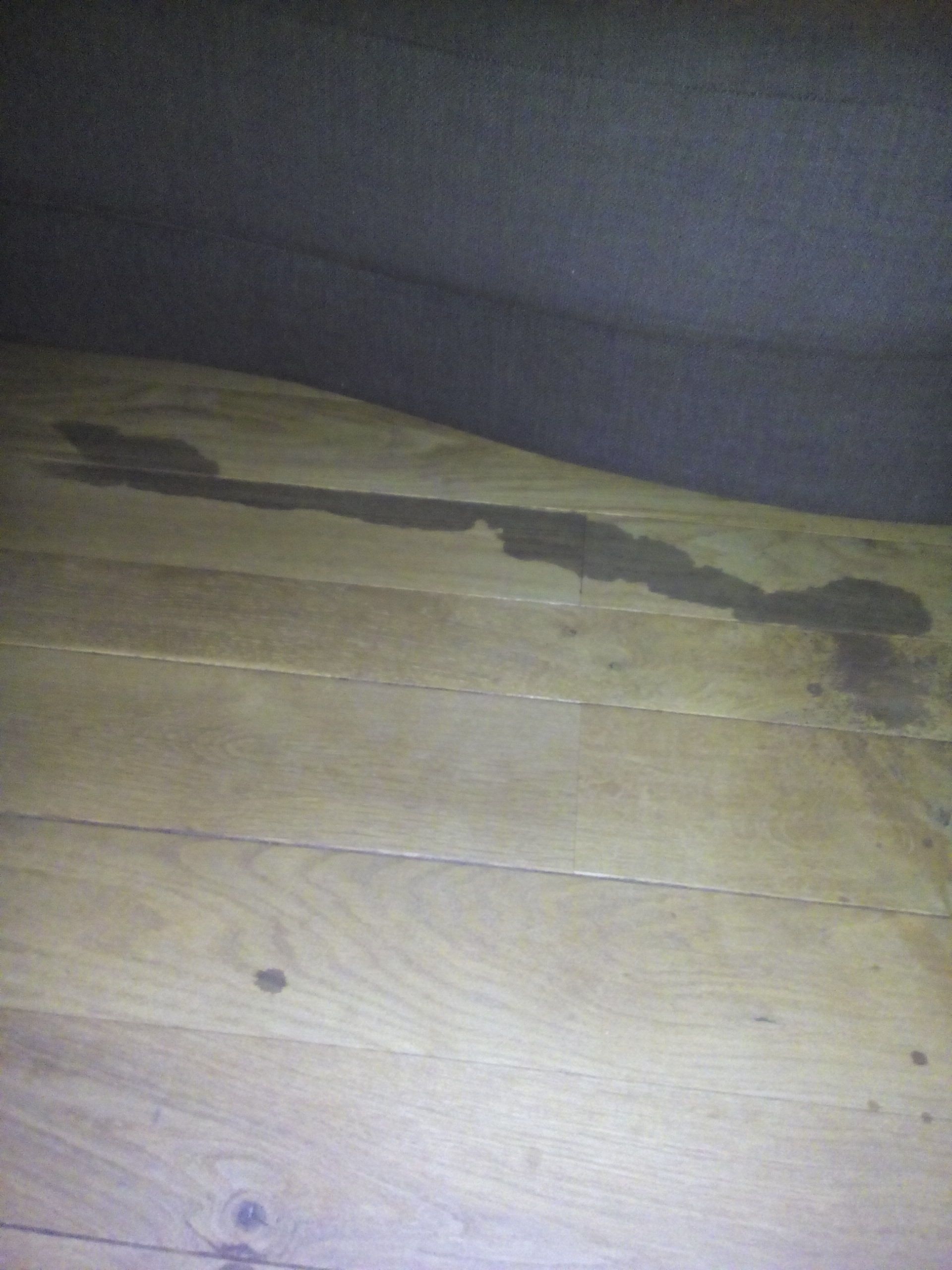 Picture for question