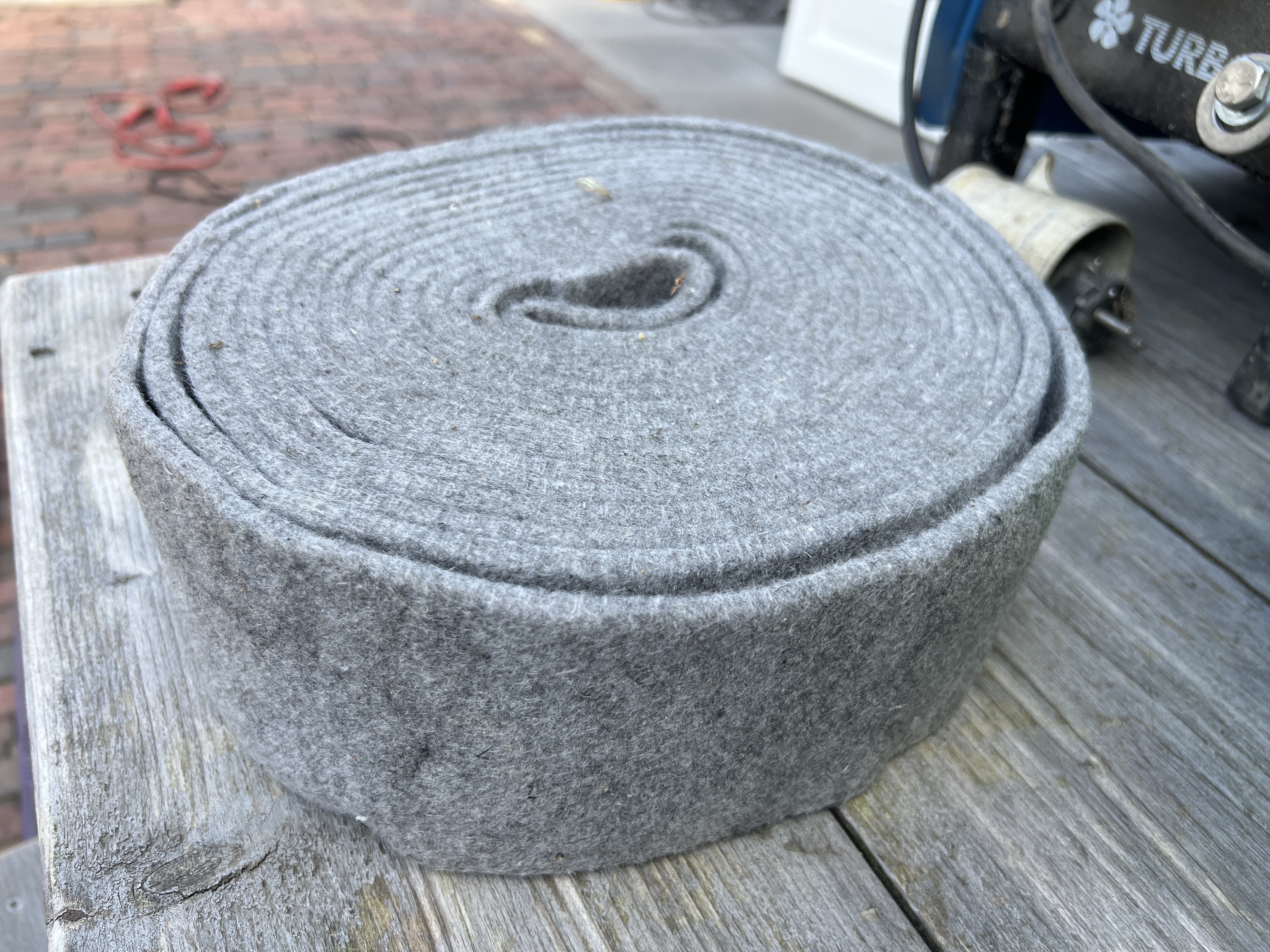 Picture for question